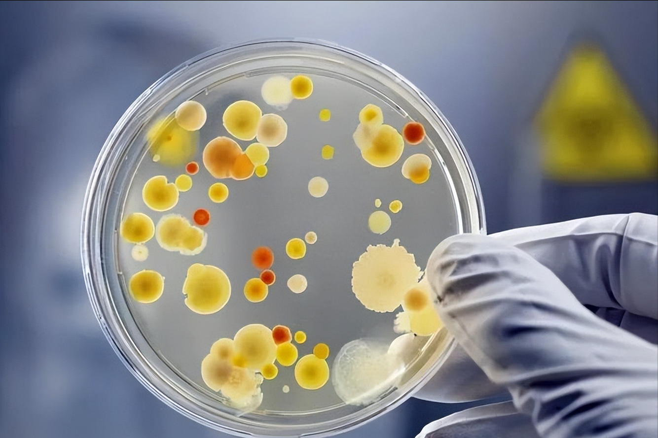 硒酵母片对甲状腺作用（酵母甲状腺片作用硒含量多少）-硒宝网