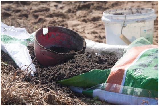 富硒地瓜为什么这么贵（富硒地瓜真的含硒吗）-硒宝网