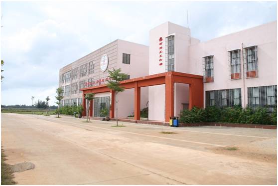 富硒地瓜为什么这么贵（富硒地瓜真的含硒吗）-硒宝网