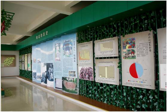 富硒地瓜为什么这么贵（富硒地瓜真的含硒吗）-硒宝网