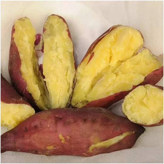 富硒地瓜为什么这么贵（富硒地瓜真的含硒吗）-硒宝网