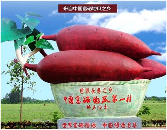 富硒地瓜为什么这么贵（富硒地瓜真的含硒吗）-硒宝网