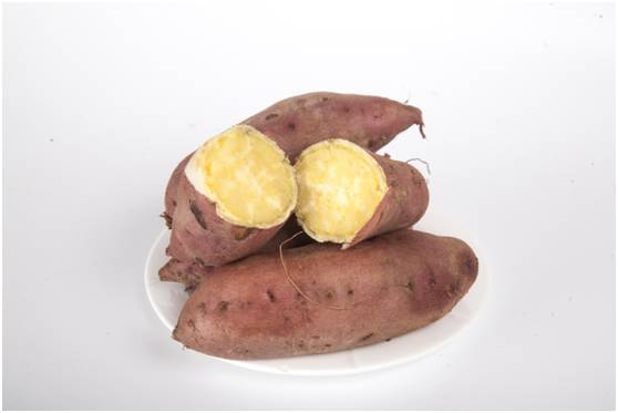 富硒地瓜为什么这么贵（富硒地瓜真的含硒吗）-硒宝网