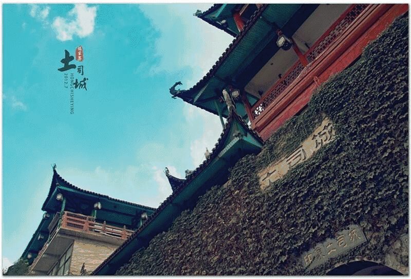 湖北恩施富硒大米品牌(恩施富硒米多少钱一斤)-硒宝网