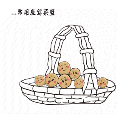 湖北恩施富硒大米品牌(恩施富硒米多少钱一斤)-硒宝网