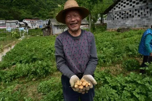 湖北恩施富硒大米品牌(恩施富硒米多少钱一斤)-硒宝网