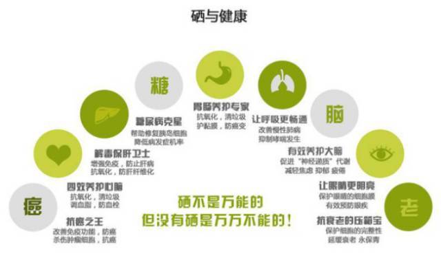 湖北恩施富硒大米品牌(恩施富硒米多少钱一斤)-硒宝网