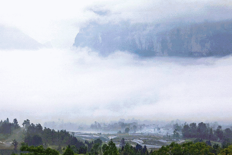 湖北恩施富硒大米品牌(恩施富硒米多少钱一斤)-硒宝网