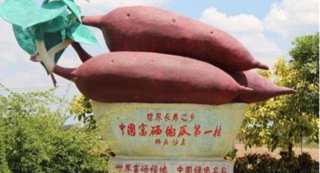 富硒地瓜为什么这么贵(富硒地瓜多少钱一斤)-硒宝网