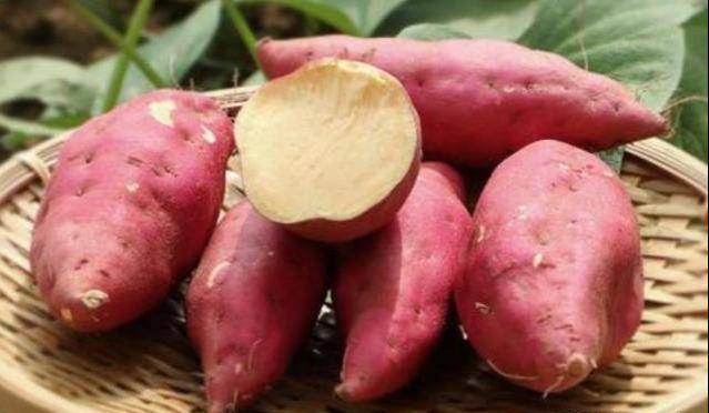 富硒地瓜为什么这么贵(富硒地瓜多少钱一斤)-硒宝网