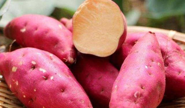 富硒地瓜为什么这么贵(富硒地瓜多少钱一斤)-硒宝网