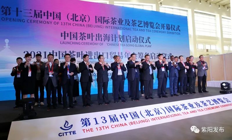 紫阳富硒茶有什么品种（紫阳富硒茶品牌大全）-硒宝网