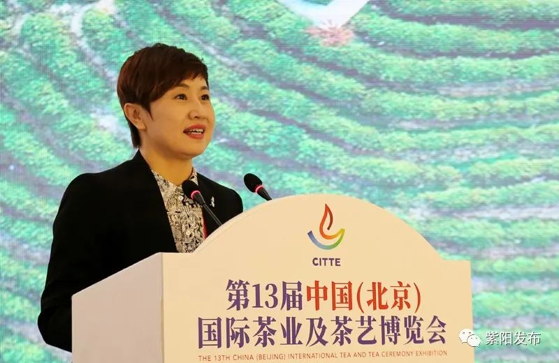 紫阳富硒茶有什么品种（紫阳富硒茶品牌大全）-硒宝网