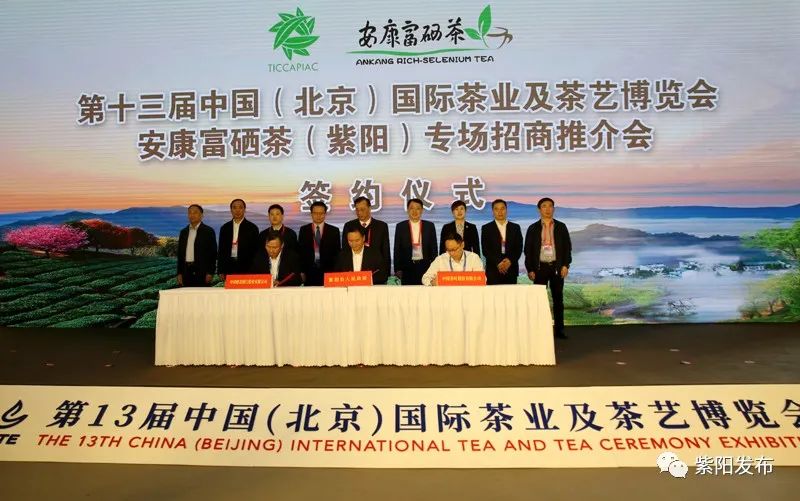 紫阳富硒茶有什么品种（紫阳富硒茶品牌大全）-硒宝网