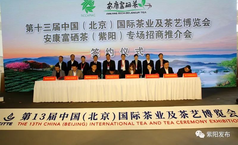 紫阳富硒茶有什么品种（紫阳富硒茶品牌大全）-硒宝网