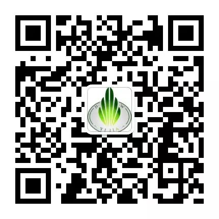 富硒地瓜是转基因的吗(地瓜转基因长什么样子)-硒宝网