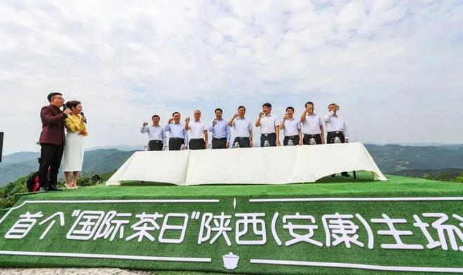 紫阳富硒茶有哪些种类(紫阳富硒茶品牌大全)-硒宝网