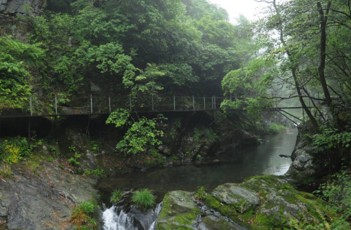 大山村富硒村农家住宿(富硒大山村农家乐)-硒宝网