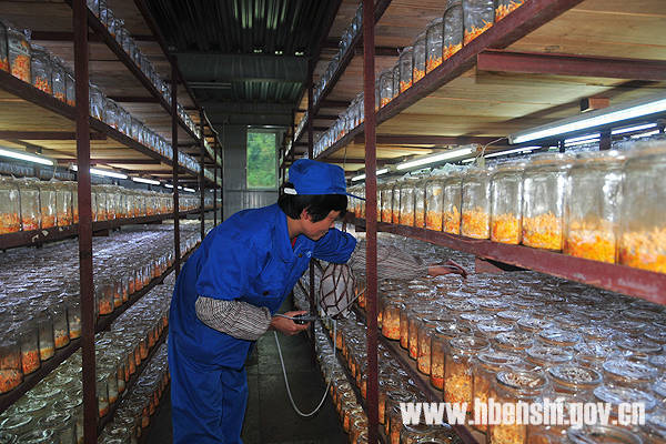 恩施富硒产品集散中心（恩施富硒农产品批发）-硒宝网