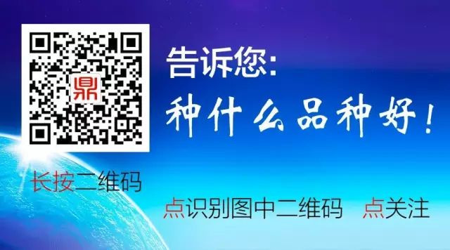 富硒地瓜是转基因的吗(基因地瓜转富硒是转基因吗)-硒宝网
