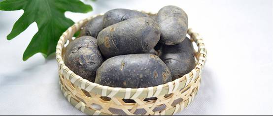 富硒地瓜是转基因的吗(基因地瓜转富硒是转基因吗)-硒宝网