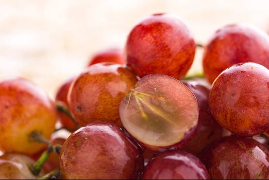 富硒地瓜是转基因的吗(基因地瓜转富硒是转基因吗)-硒宝网