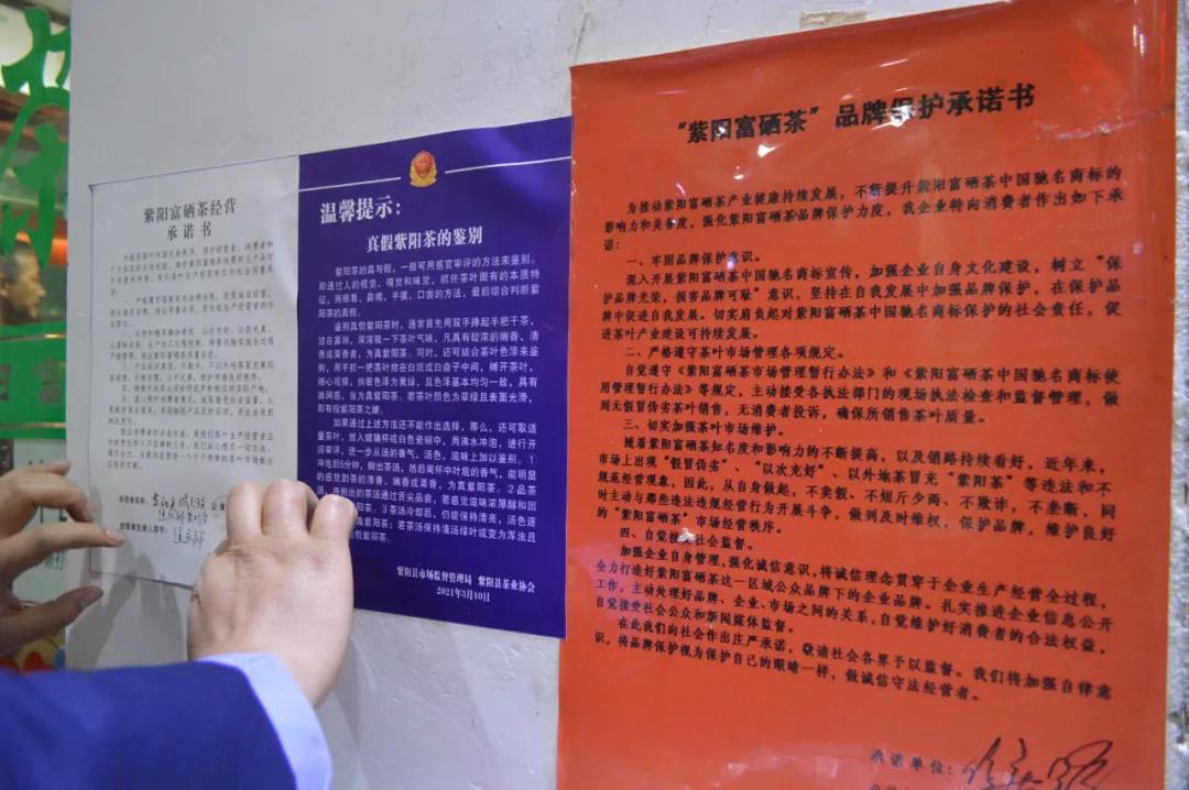 紫阳富硒茶有哪些种类(紫阳富硒茶属于绿茶吗)-硒宝网