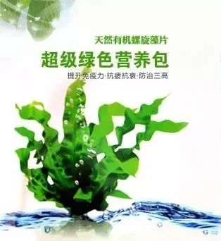 富硒植物蛋白片的功效（富硒蛋白肽）-硒宝网