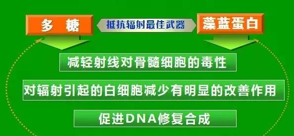 富硒植物蛋白片的功效（富硒蛋白肽）-硒宝网