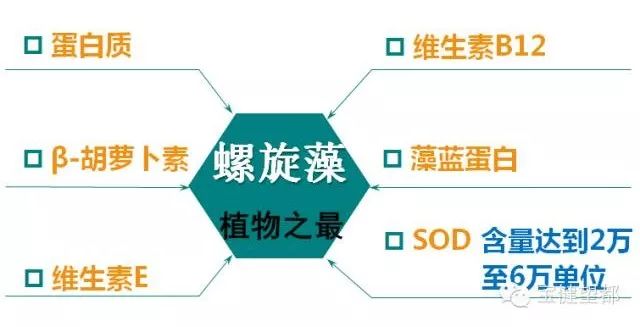 富硒植物蛋白片的功效（富硒蛋白肽）-硒宝网