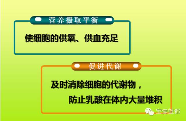 富硒植物蛋白片的功效（富硒蛋白肽）-硒宝网