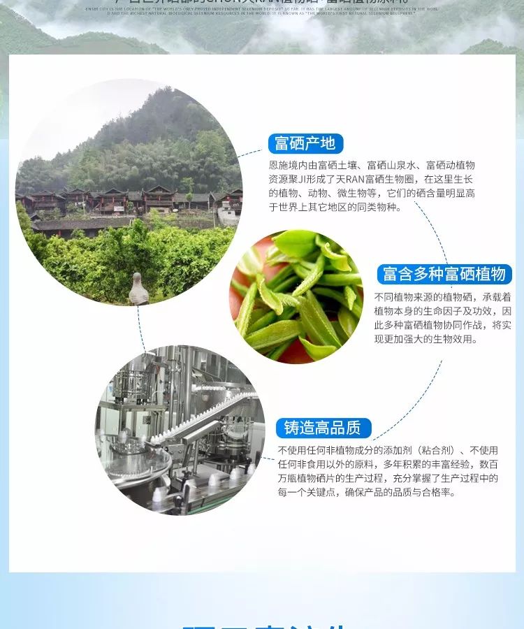 富硒植物蛋白片的功效（蛋白功效植物片富硒的作用）-硒宝网