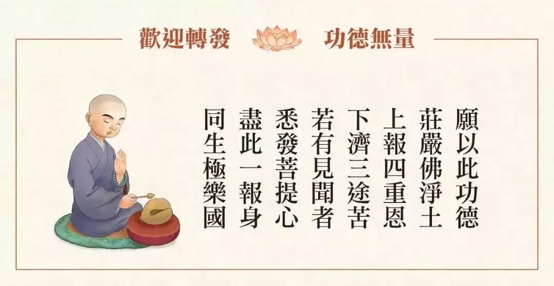 富硒植物蛋白片的功效（蛋白功效植物片富硒的作用）-硒宝网