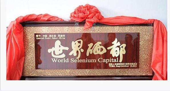 富硒植物蛋白片的功效（蛋白功效植物片富硒的作用）-硒宝网