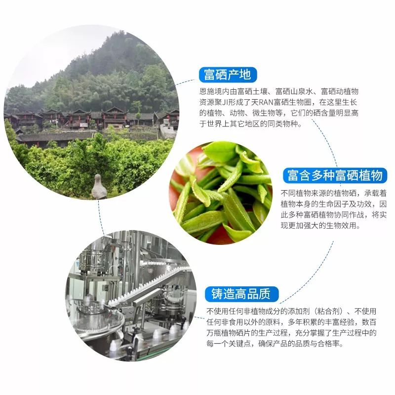 富硒植物蛋白片的功效（蛋白功效植物片富硒的作用）-硒宝网