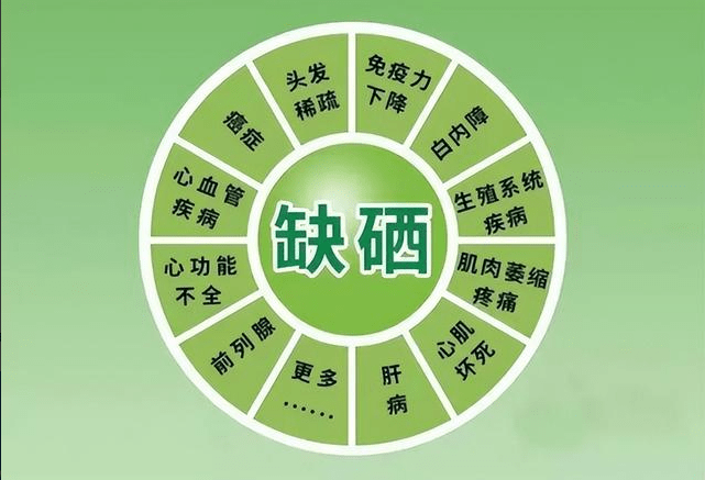 人体要补硒是什么东西(补硒的东西)-硒宝网