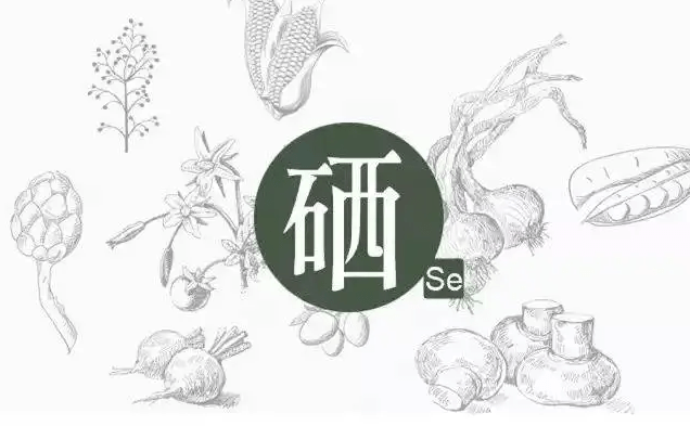 人体要补硒是什么东西(补硒的东西)-硒宝网