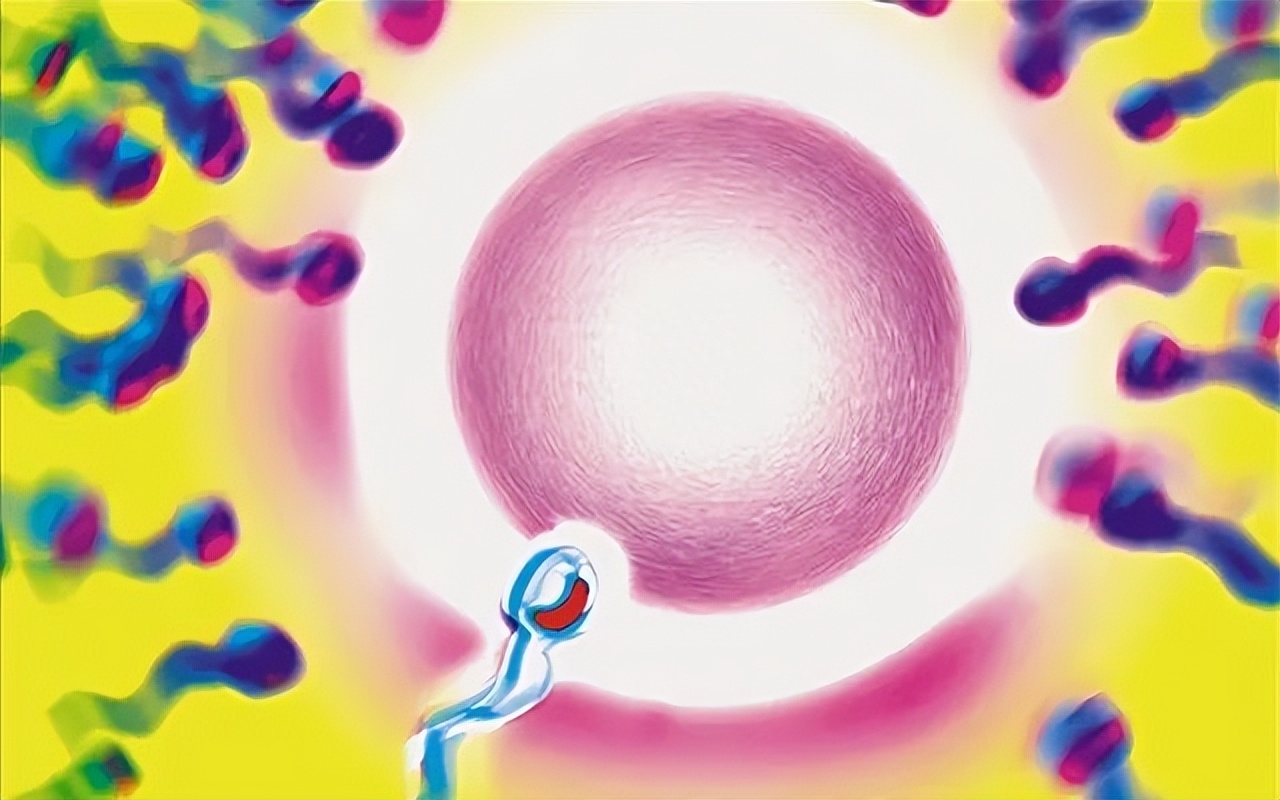 补硒对男人有什么好处(男人补硒吃什么药好)-硒宝网