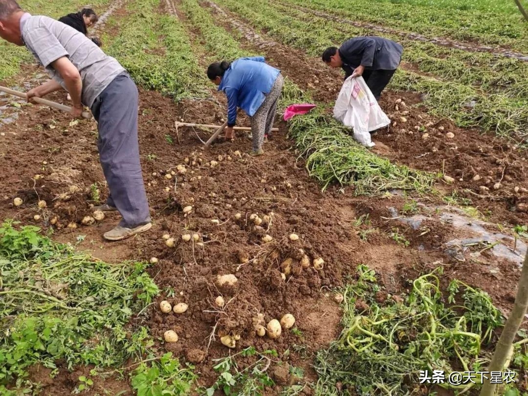 恩施盛硒源有哪些产品（恩施盛硒源是合法的吗）-硒宝网