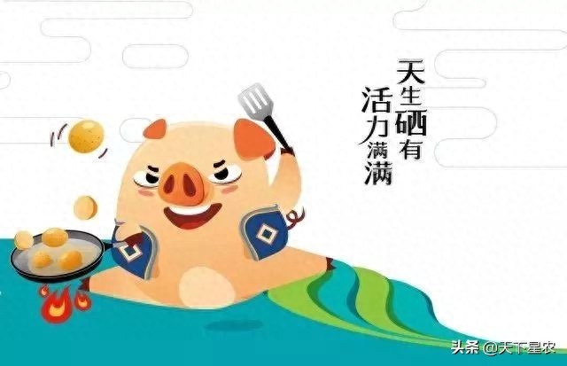 恩施盛硒源有哪些产品（恩施盛硒源是合法的吗）-硒宝网