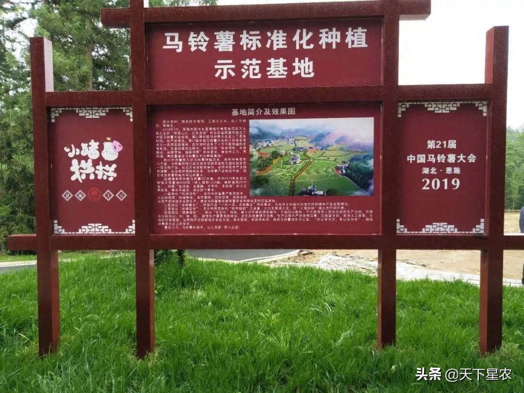 恩施盛硒源有哪些产品（恩施盛硒源是合法的吗）-硒宝网