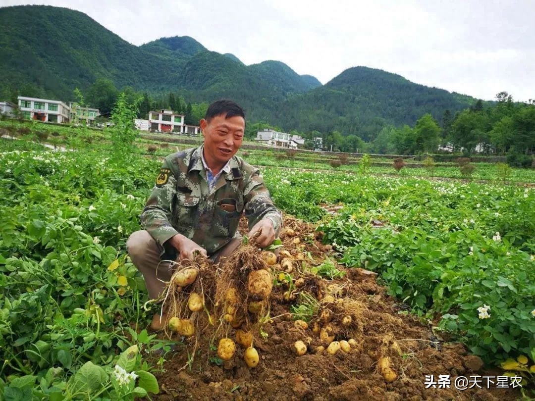 恩施盛硒源有哪些产品（恩施盛硒源是合法的吗）-硒宝网