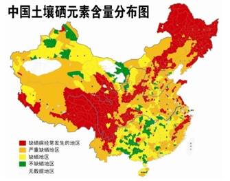 甲状腺缺硒怎么补硒快(硒缺补甲状腺素可以吗)-硒宝网