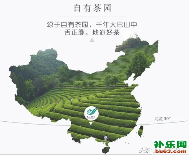 万源富硒茶 巴山雀舌(巴山雀舌万源富硒价格)-硒宝网