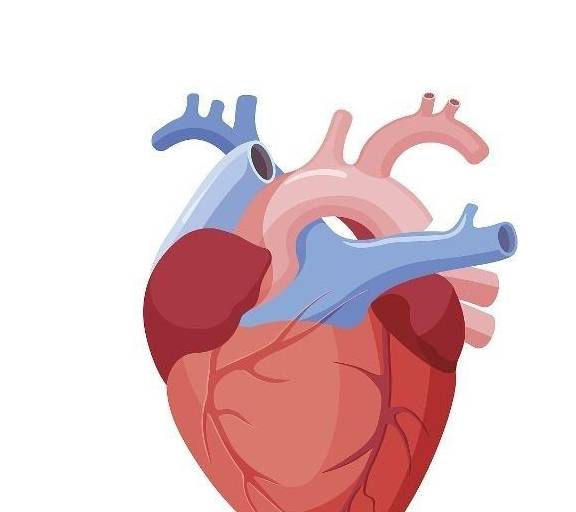硒尿蛋白的人能补硒吗（硒尿蛋白能补人参肽吗）-硒宝网