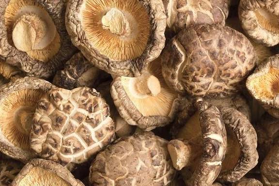 硒尿蛋白的人能补硒吗（硒尿蛋白能补人参肽吗）-硒宝网