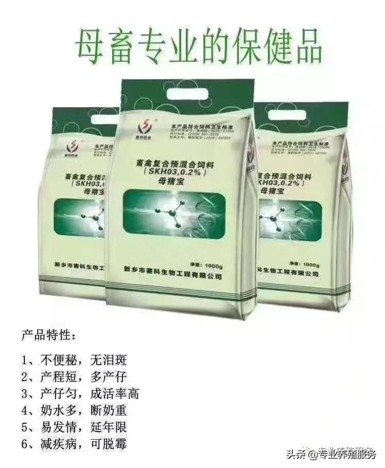 21天仔猪补硒补多少(仔猪补硒多了什么症状)-硒宝网