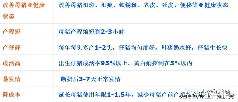 21天仔猪补硒补多少(仔猪补硒多了什么症状)-硒宝网