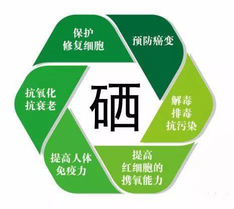 什么含硒高怎么补硒的（含硒量高）-硒宝网