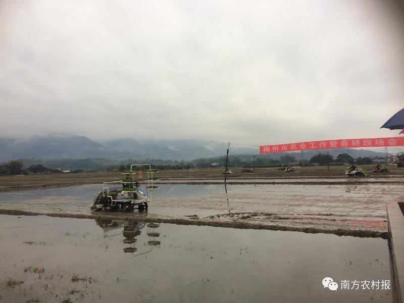 富硒大米 南方农村报(富硒大米市场前景)-硒宝网